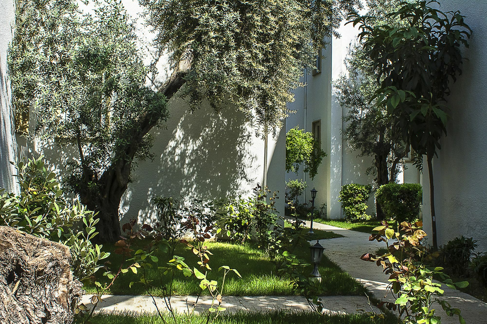 Hotel Princess Diltua Bodrum 외부 사진